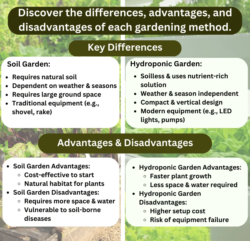 Infographic titled 'Discover the differences, advantages, and disadvantages of each gardening method.' On the left side, under 'Key Differences', 'Soil Garden' is described with points: Requires natural soil, Dependent on weather & seasons, Requires large ground space, and Uses traditional equipment like shovels and rakes. Below that, under 'Advantages & Disadvantages', 'Soil Garden Advantages' lists: Cost-effective to start, Provides a natural habitat for plants. 'Soil Garden Disadvantages' states: Requires more space & water, Vulnerable to soil-borne diseases. On the right side, 'Hydroponic Garden' highlights: Soilless & uses a nutrient-rich solution, Weather & season independent, Compact & vertical design, and Uses modern equipment like LED lights and pumps. 'Hydroponic Garden Advantages' mentions: Faster plant growth, Requires less space & water. 'Hydroponic Garden Disadvantages' notes: Higher setup cost, Risk of equipment failure. The background of the infographic features green plant imagery